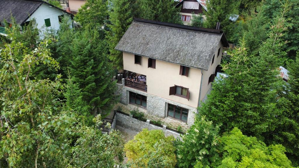 an aerial view of a house in the woods at Cabana Brazilor in Campina