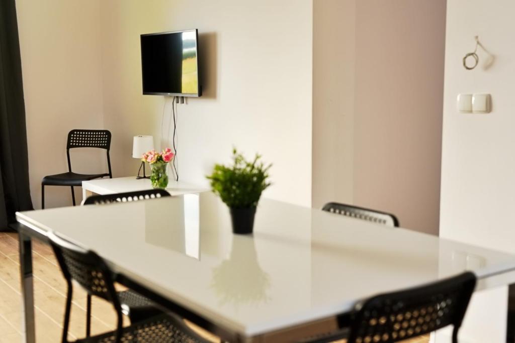 Apartamenty Lotnisko Leszno - Appartement 1 Chambre
