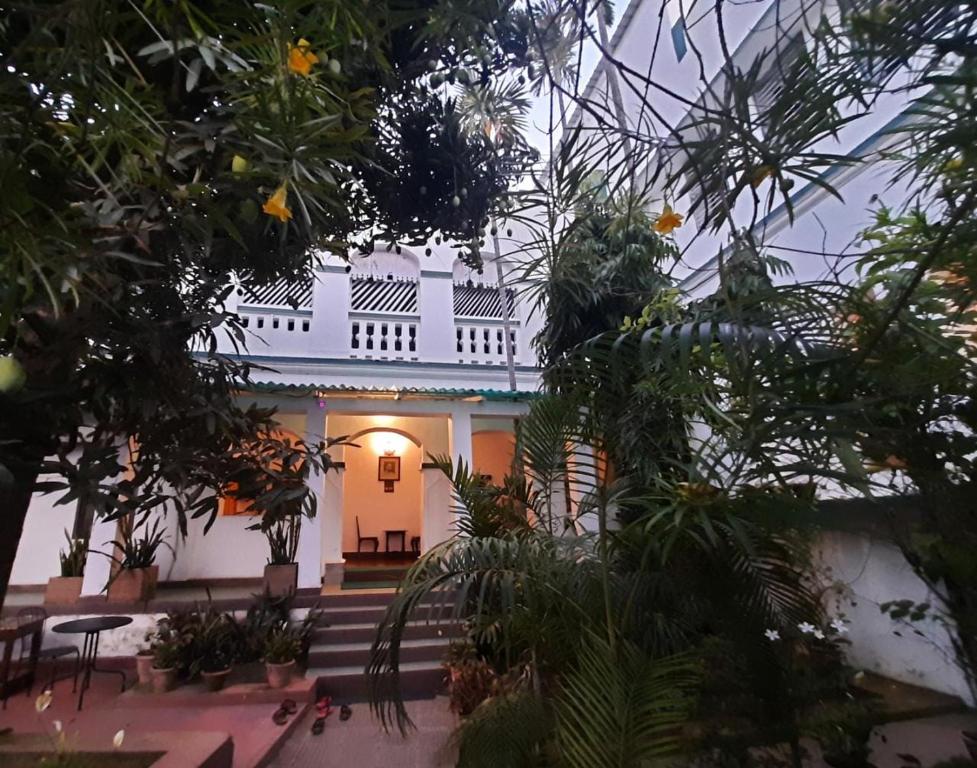Zahrada ubytování Z Hotel