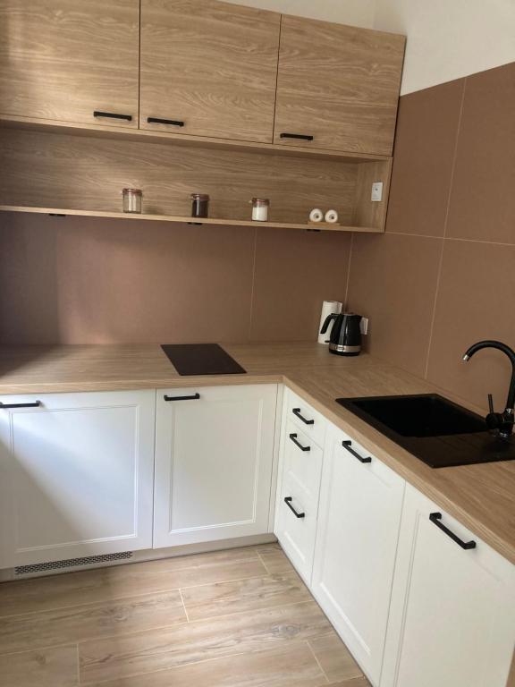 Kuchyňa alebo kuchynka v ubytovaní Apartament Grzaniec