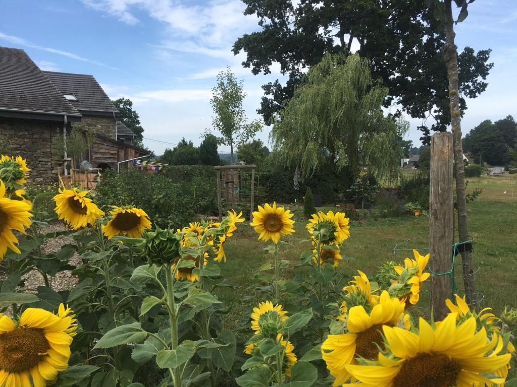 Giardino di Gîtanneke
