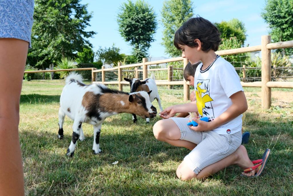 Une jeune fille pèse une chèvre dans un champ dans l&#39;établissement Camping Haliotis, à Pontorson