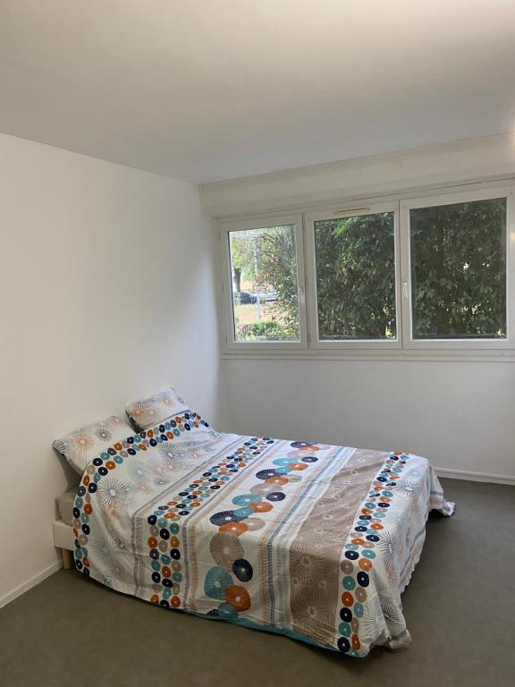 a bedroom with a bed and two windows at Bel appartement spacieux, lumineux avec parking in Ris-Orangis