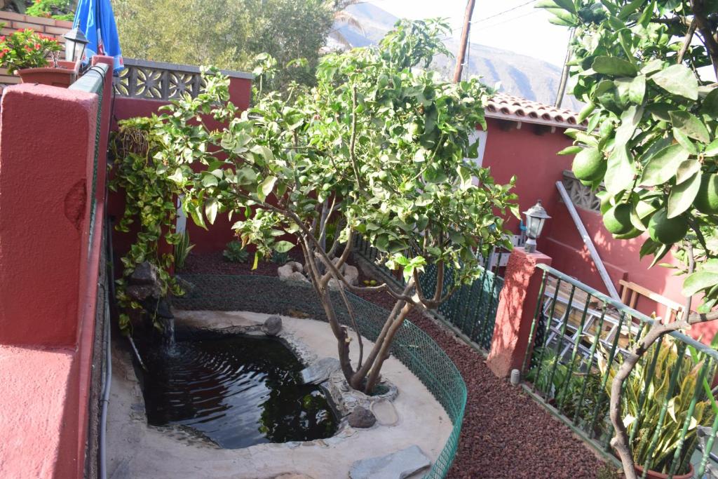 A garden outside Garoé Acogedor Apartamento