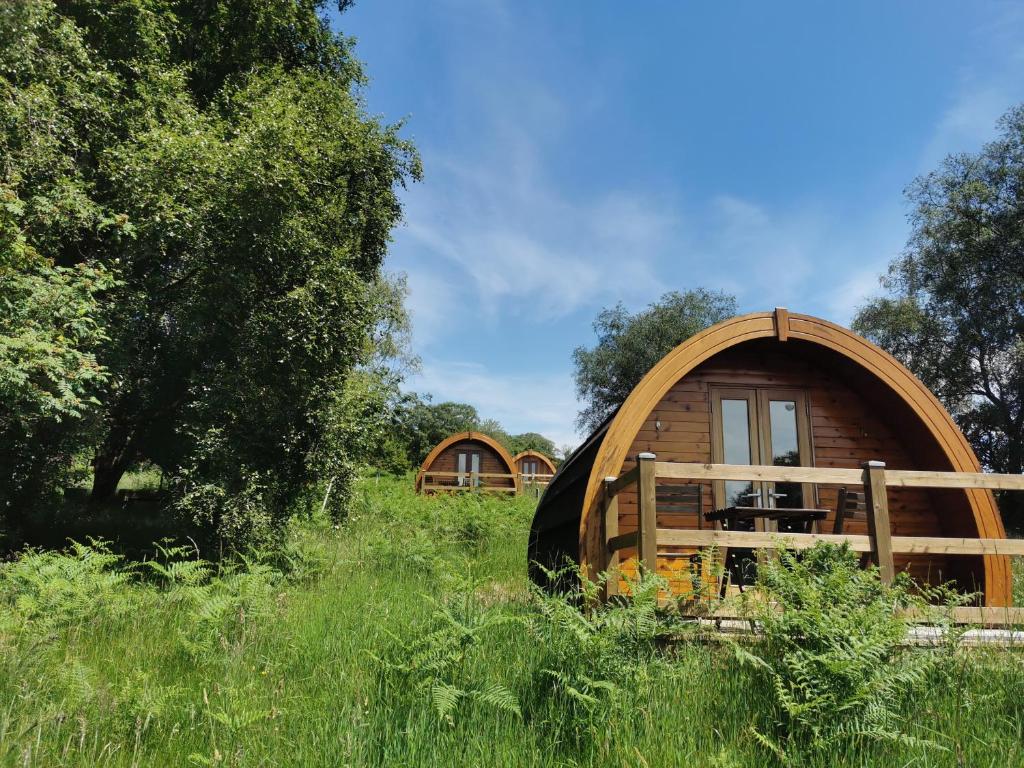a wooden cabin in a field of tall grass at Glendalough Glamping - Adults Only in Laragh
