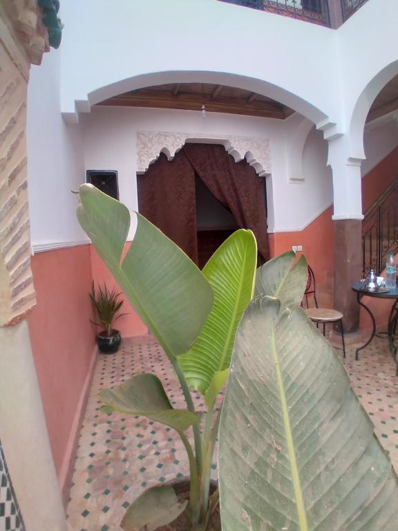 Fotografie z fotogalerie ubytování Riad 9 Derb El Bousnne v Marrákéši