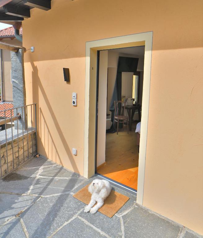 Domácí mazlíčci ubytovaní s hosty v ubytování Boato Bistrot & Bed