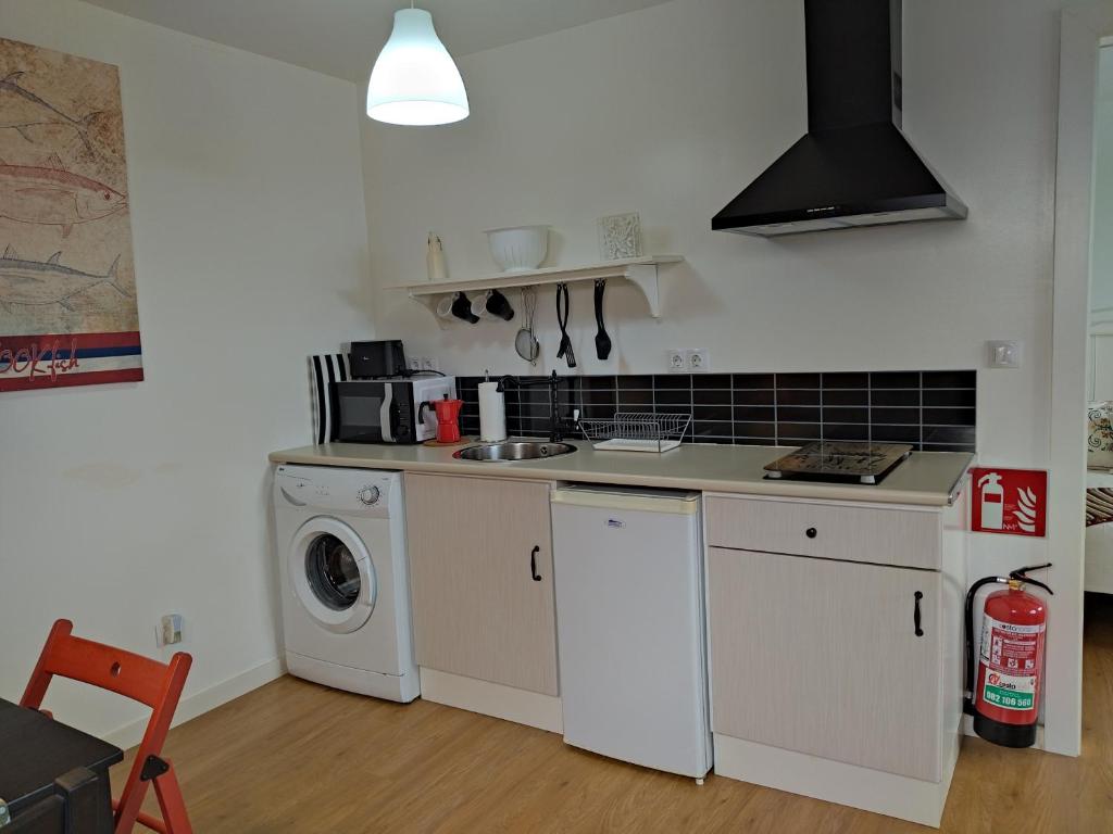 Kuchyň nebo kuchyňský kout v ubytování Apartamentos A Palleira