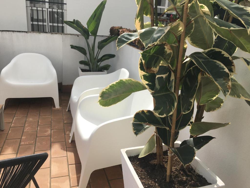 Część wypoczynkowa w obiekcie Loft Xerez Centro