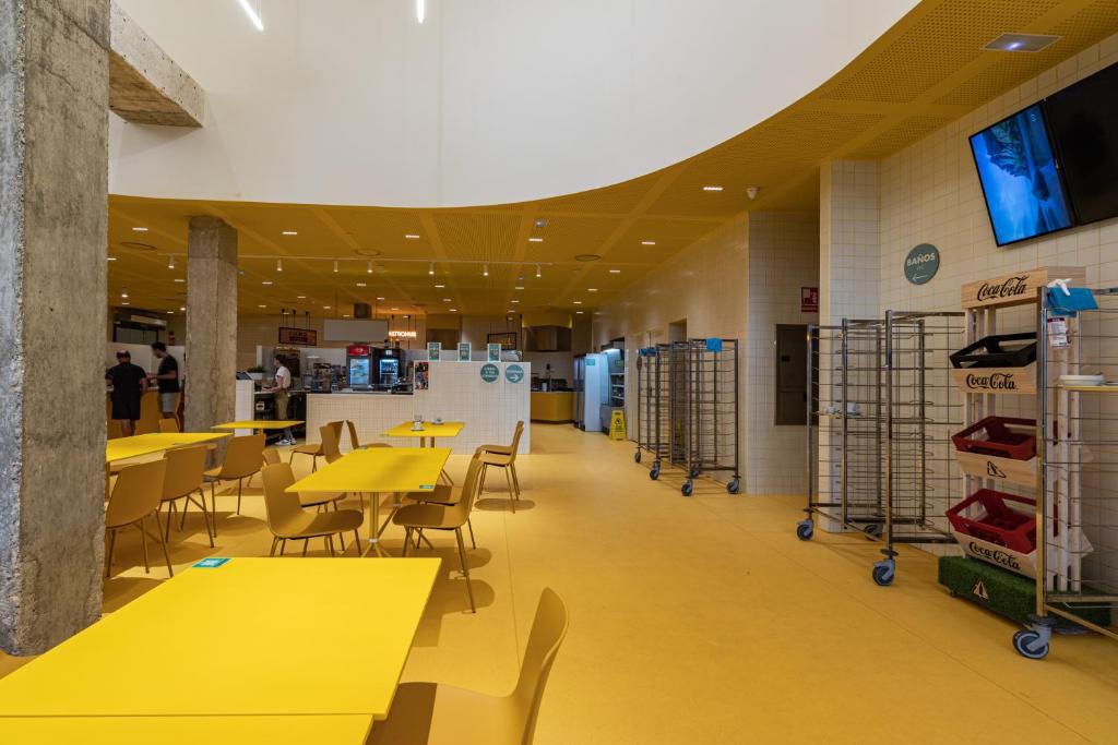 Resa Patacona - Resim 29