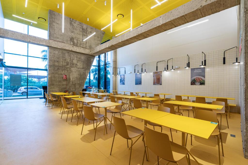 Resa Patacona - Resim 28