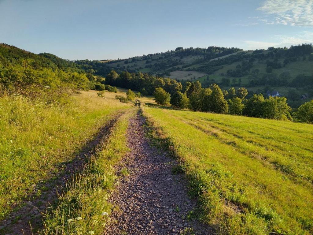 Príroda v okolí farmy