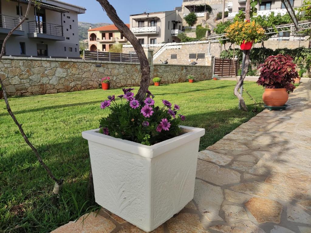 Vonkajšia záhrada v ubytovaní Syvota Apartments Family