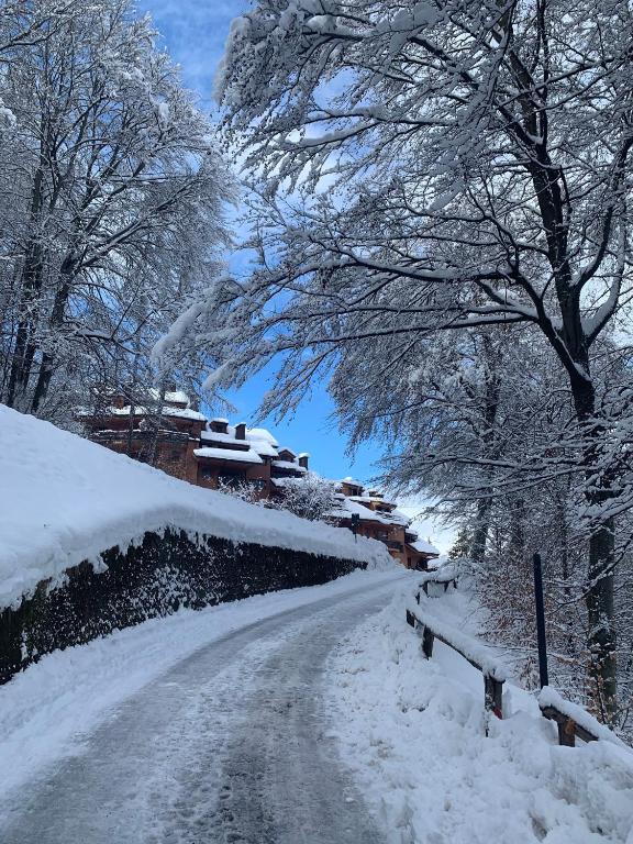 una carretera cubierta de nieve con árboles y casas en Gin Sole Apartment en Artogne