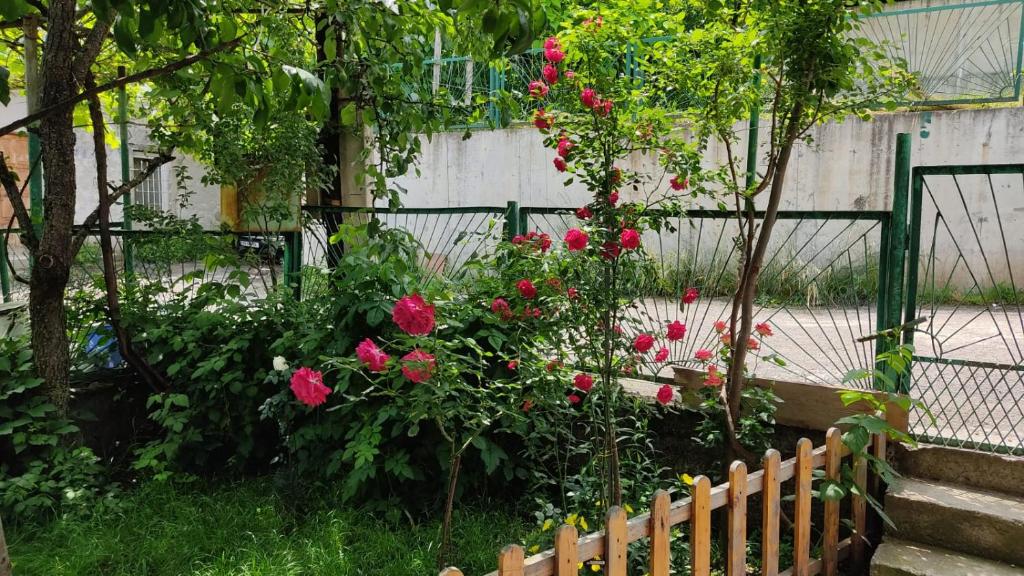 Jardí fora de Borjomi Nest