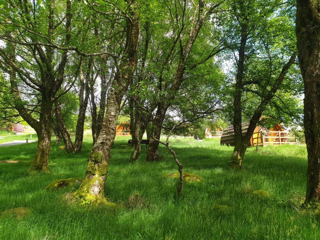 Giardino di Glendalough Glamping - Adults Only