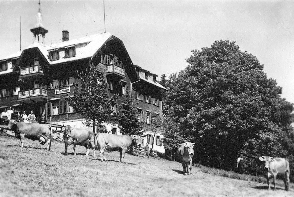 Zvířata v hotelu nebo okolí
