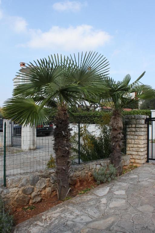 Fotografia z galérie ubytovania Apartments with a parking space Rovinj - 2298 v Rovinj