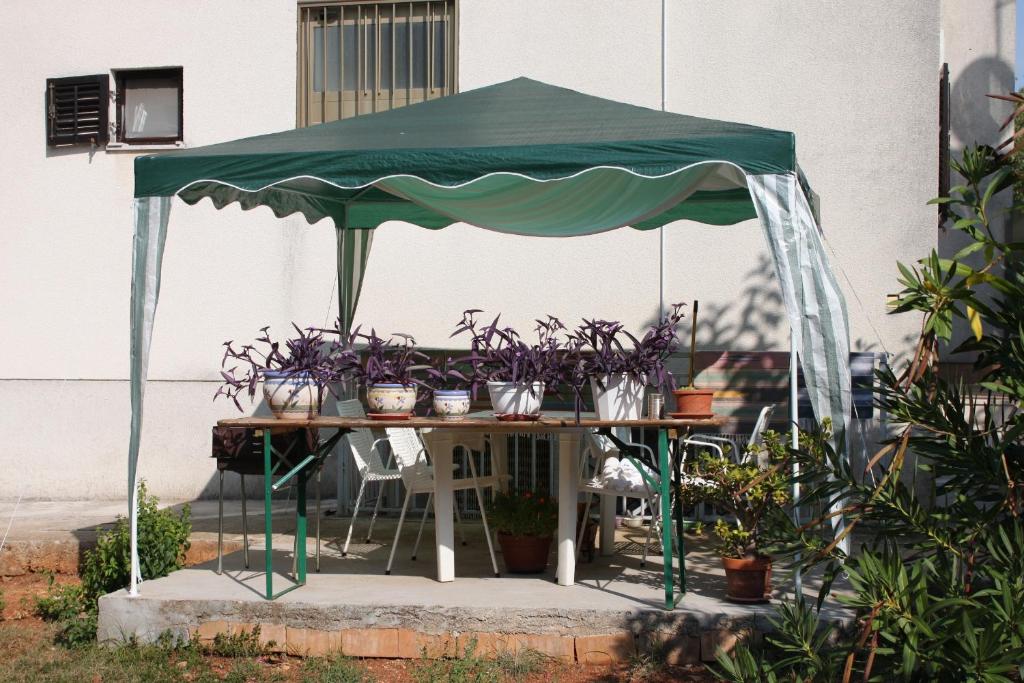 Fotografia z galérie ubytovania Apartments with a parking space Rovinj - 2298 v Rovinj