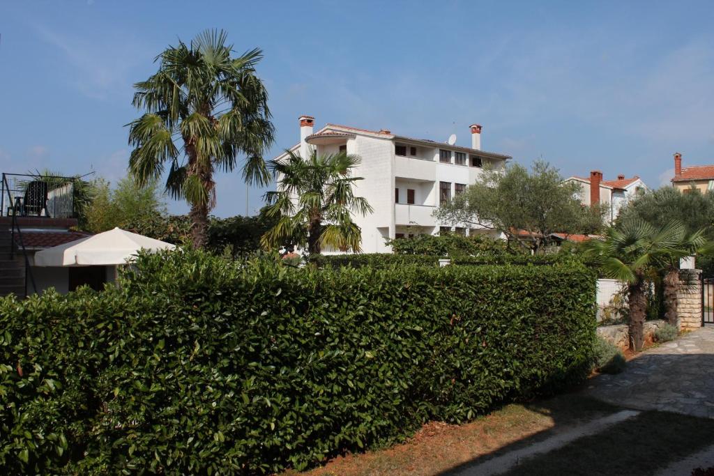Fotografia z galérie ubytovania Apartments with a parking space Rovinj - 2298 v Rovinj