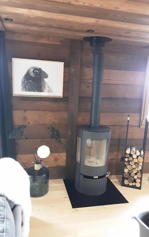 Foto sihtkohas Morzine asuva majutusasutuse Chalet avec jacuzzi - 150 m des remontées galeriist