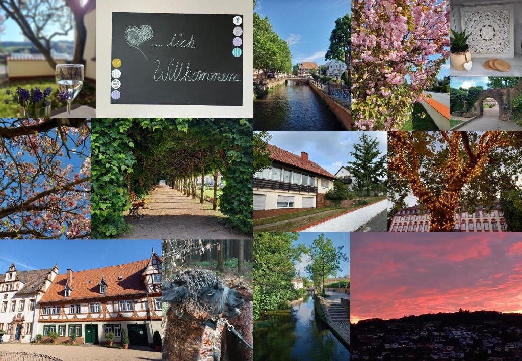 un collage de fotos de aldeas y flores en Odenwald Heaven, en Erbach