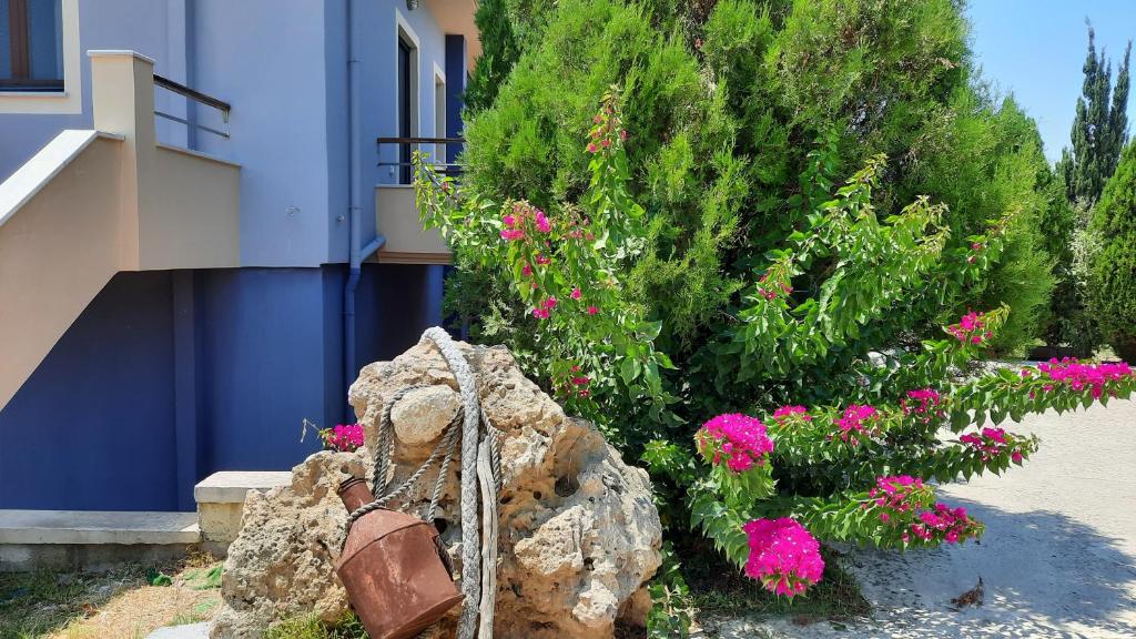 Ogród w obiekcie Alekos Beach Houses-Angelo