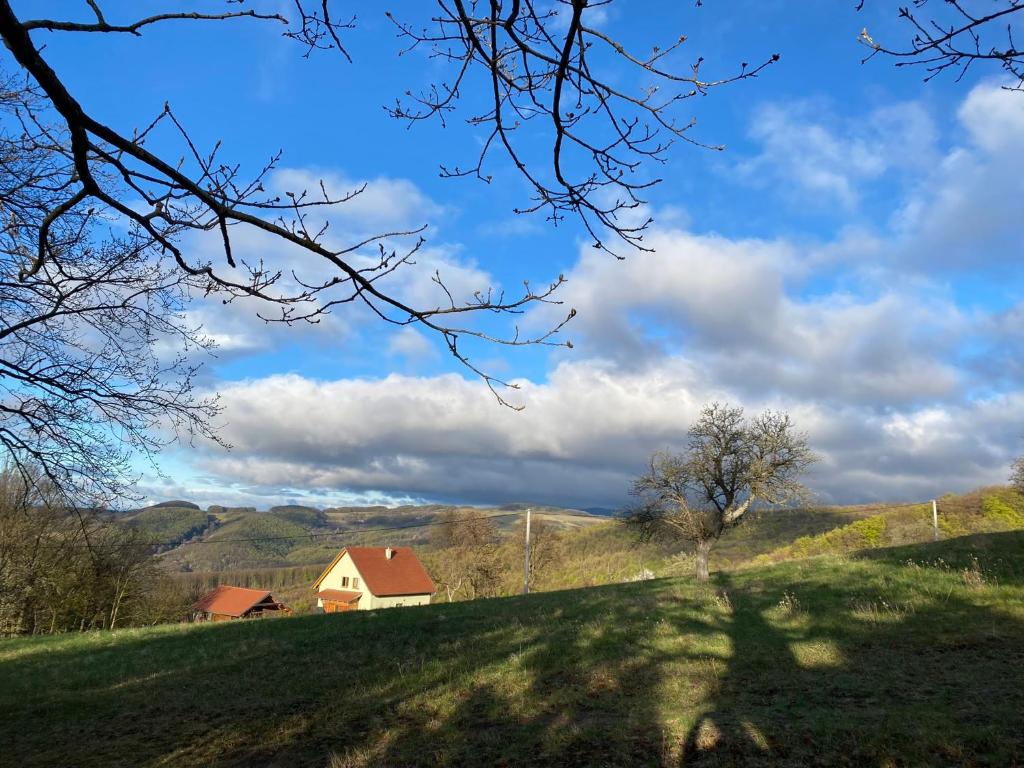 una colina de hierba con una casa en la distancia en Nature Homestay en Trenčín