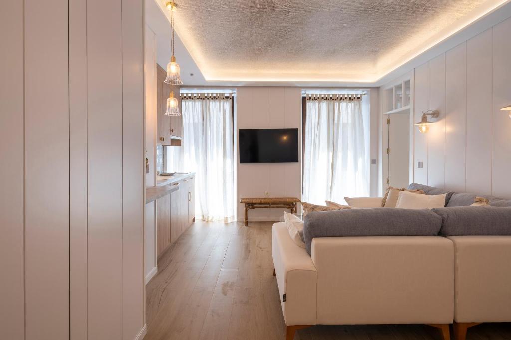 TV a/nebo společenská místnost v ubytování Palatina Concept Suites
