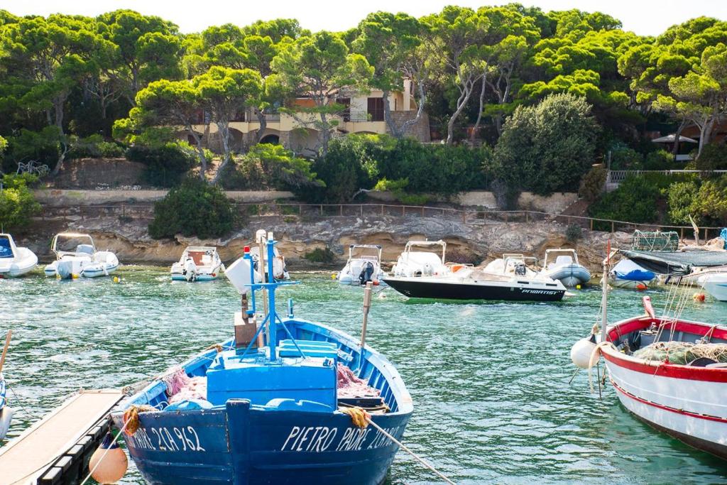 Villa Clelia a Porto Pino - Esclusiva Villa Fronte Mare