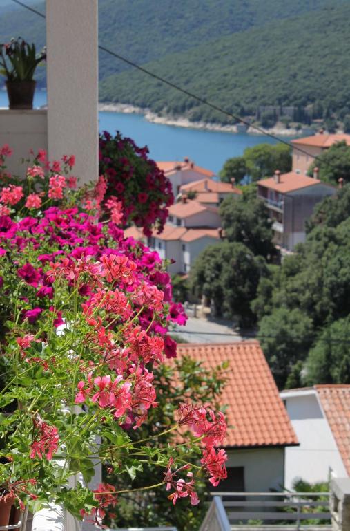 Príroda v okolí apartmánu