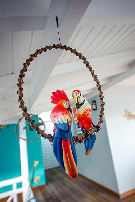 two colorful parrots sitting on a branch at Hôtel La Christophine in Saint-François