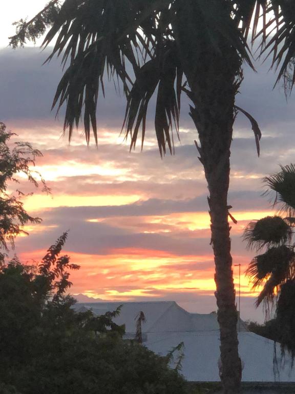 a palm tree with a sunset in the background at Hôtel La Christophine in Saint-François