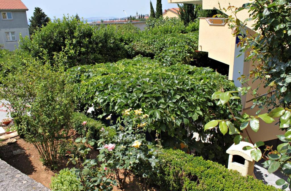Vonkajšia záhrada v ubytovaní Apartments with a parking space Selce, Crikvenica - 2361