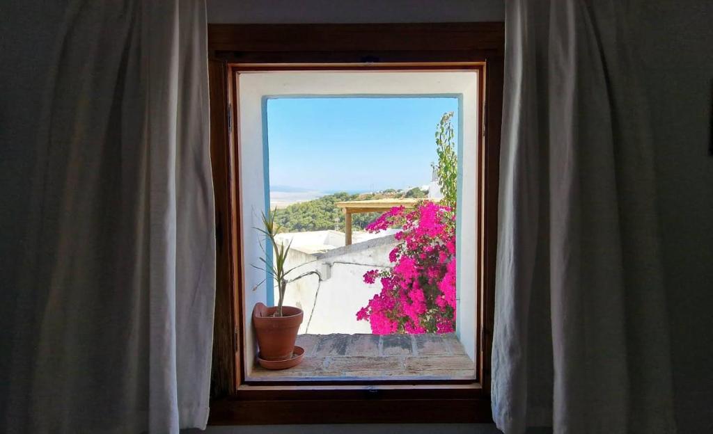 a window with a potted plant in a room at Holiday home La Atalaya de Vejer in Vejer de la Frontera
