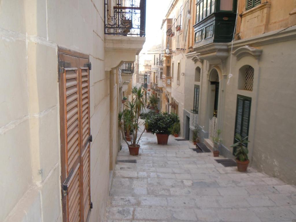 un vicolo in una città con piante in vaso di D-House a Birgu (Vittoriosa)