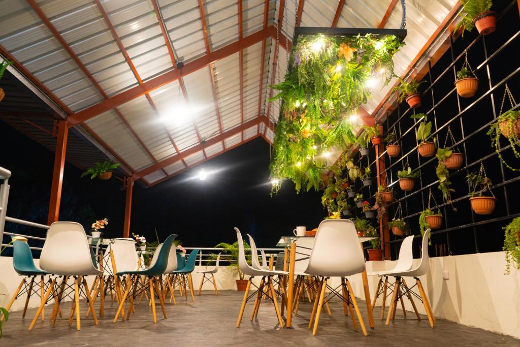 a group of chairs and tables in a room with plants at Fanda in Sauce