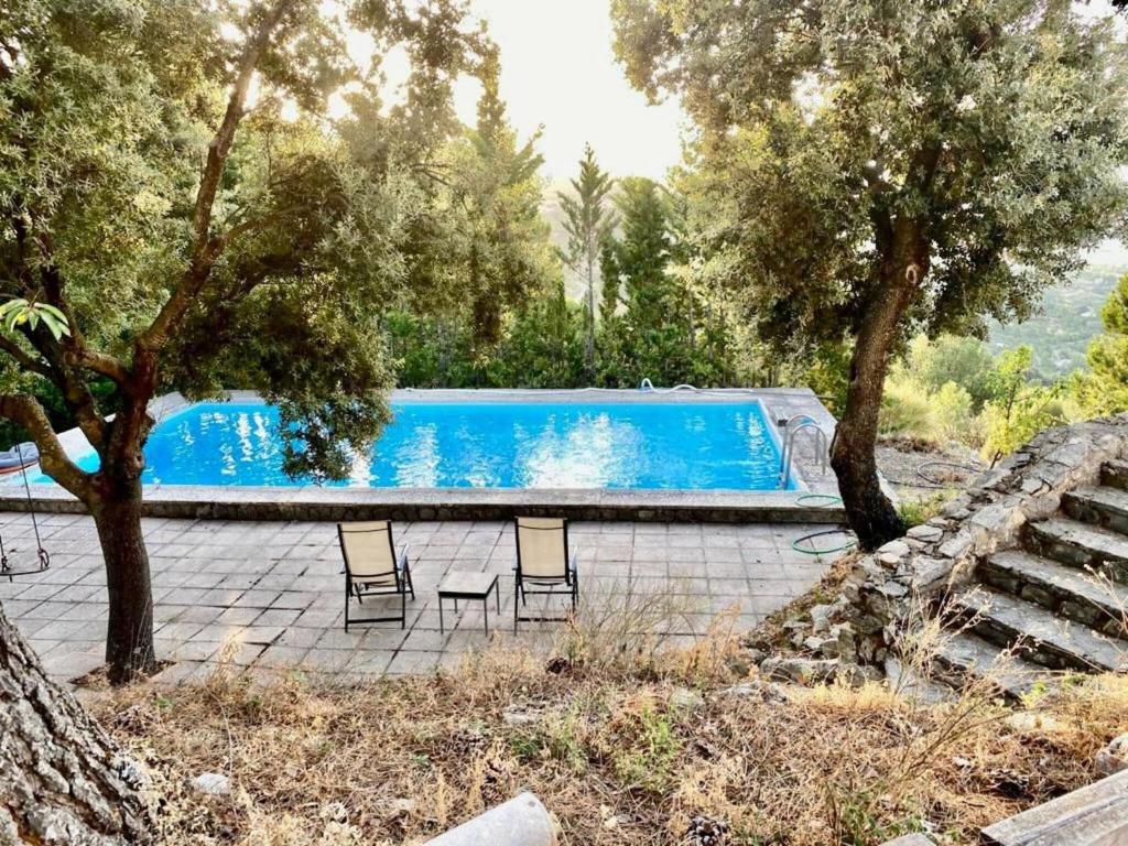 托雷斯的住宿－Welcoming villa in Torres with private pool，一个带两把椅子和树木的游泳池