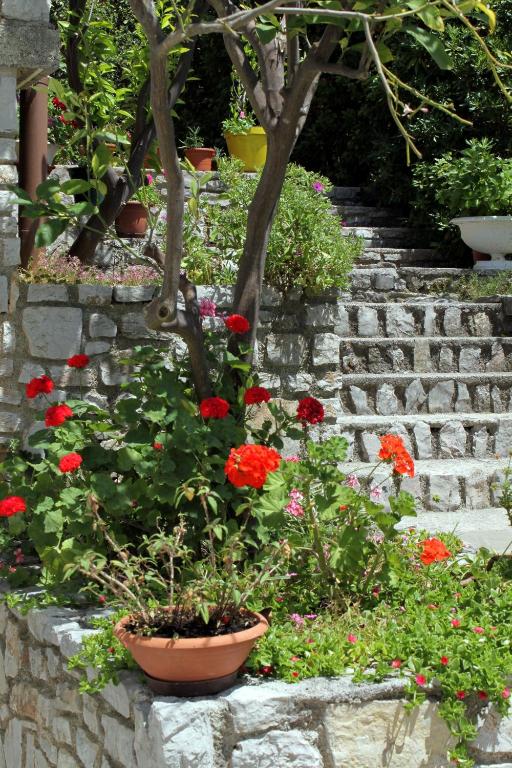 Vonkajšia záhrada v ubytovaní Apartments by the sea Mali Losinj (Losinj) - 2493