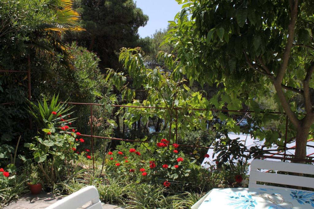 Vonkajšia záhrada v ubytovaní Apartments by the sea Mali Losinj (Losinj) - 2493