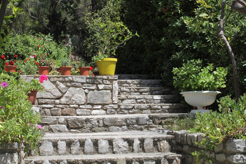 Fotografie z fotogalerie ubytování Apartments by the sea Mali Losinj (Losinj) - 2494 v destinaci Mali Lošinj