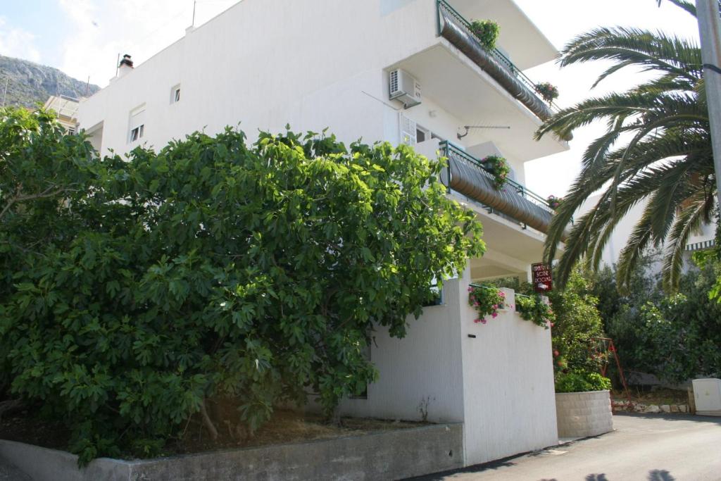 Zahrada ubytování Apartments by the sea Igrane, Makarska - 2679