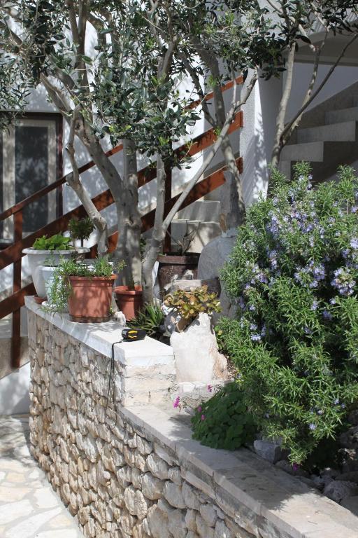Zahrada ubytování Apartments by the sea Drasnice, Makarska - 2581