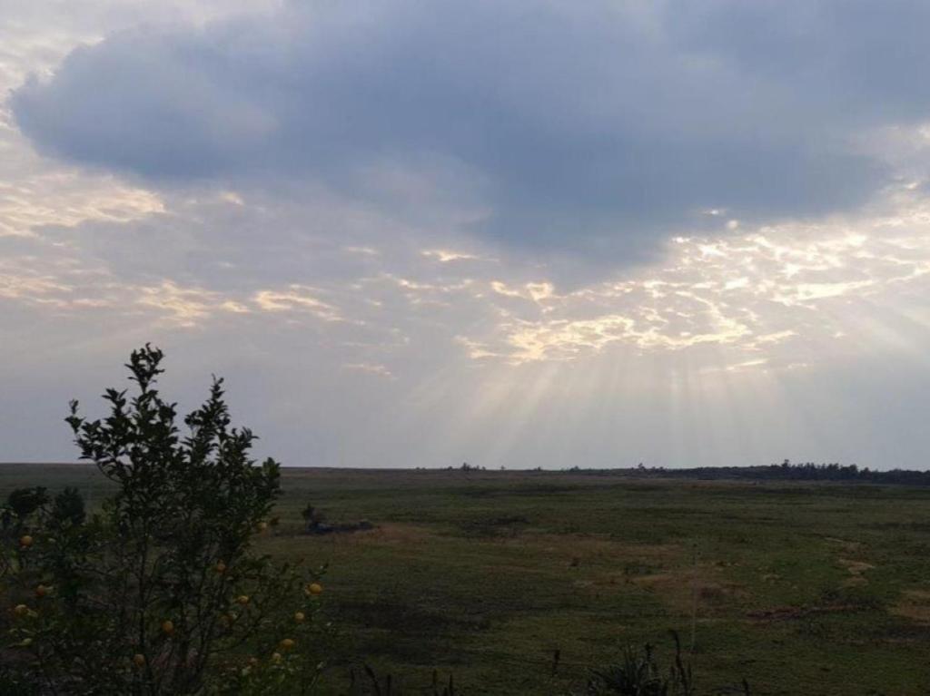 Un paisaje natural cerca del departamento