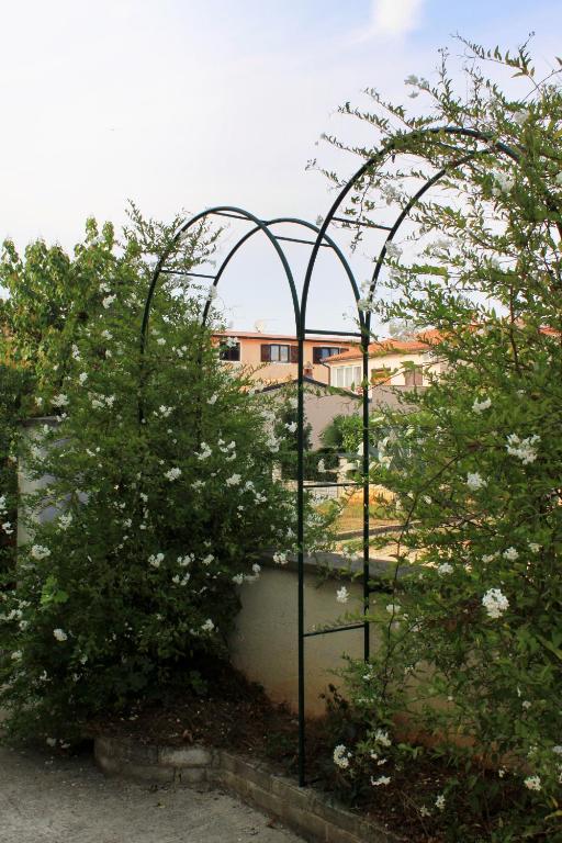 Fotografie z fotogalerie ubytování Apartments with a parking space Rovinj - 2401 v Rovinji