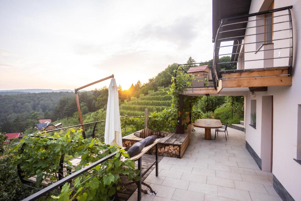 einen Balkon mit Blick auf einen Weinberg in der Unterkunft Vineyard cottage Sonce in Šentvid pri Stični