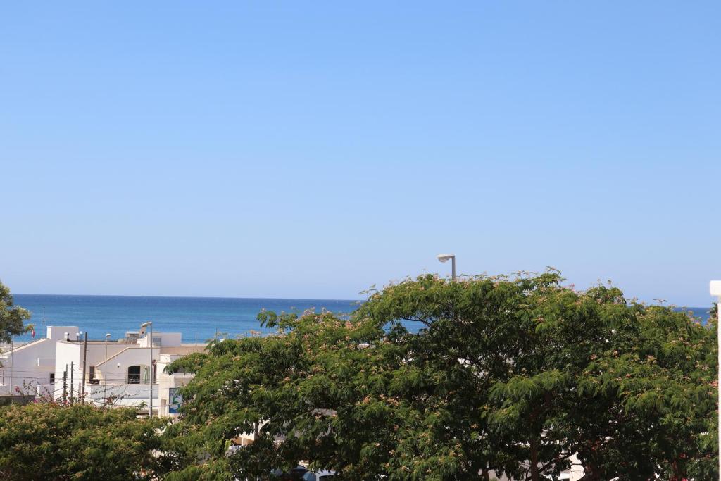 una vista del océano desde la cima de un árbol en Casa vacanze Pescoluse en Marina di Pescoluse