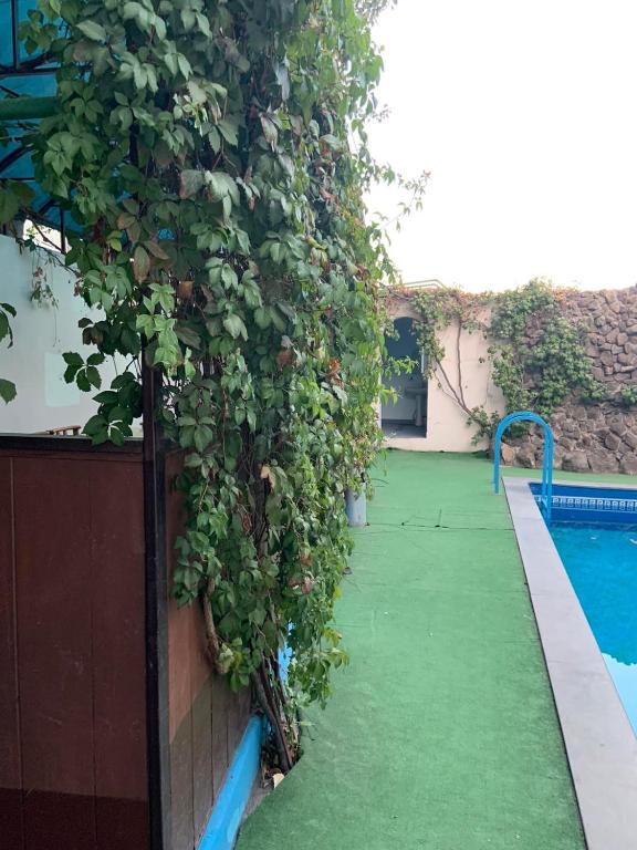 Bazén v ubytování Tnak Hotel nebo v jeho okolí