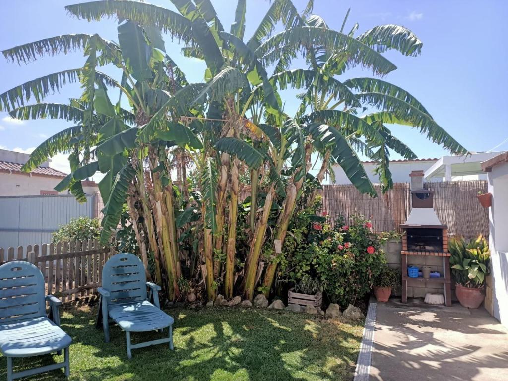 un patio con 2 sillas y una palmera en CasaMaria 50 metros de la playa, en El Palmar