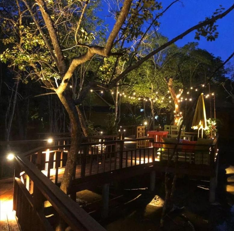 Zahrada ubytování Api-api Eco Chalet